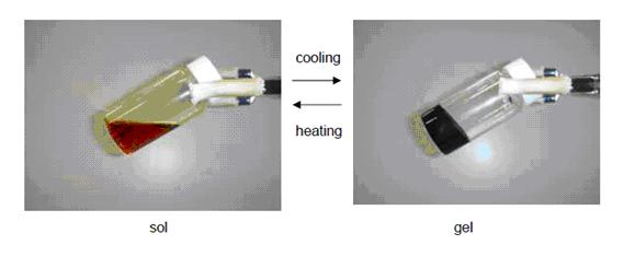 キシログルカン－ヨウ素溶液のゾルゲル転移現象