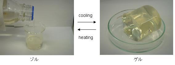 多糖類のゾルゲル転移現象