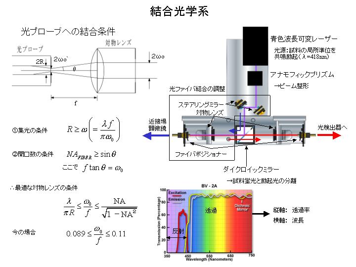 画像をクリックすると、拡大画像が新しいウインドウに表示されます。