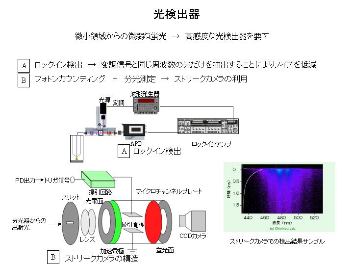 画像をクリックすると、拡大画像が新しいウインドウに表示されます。