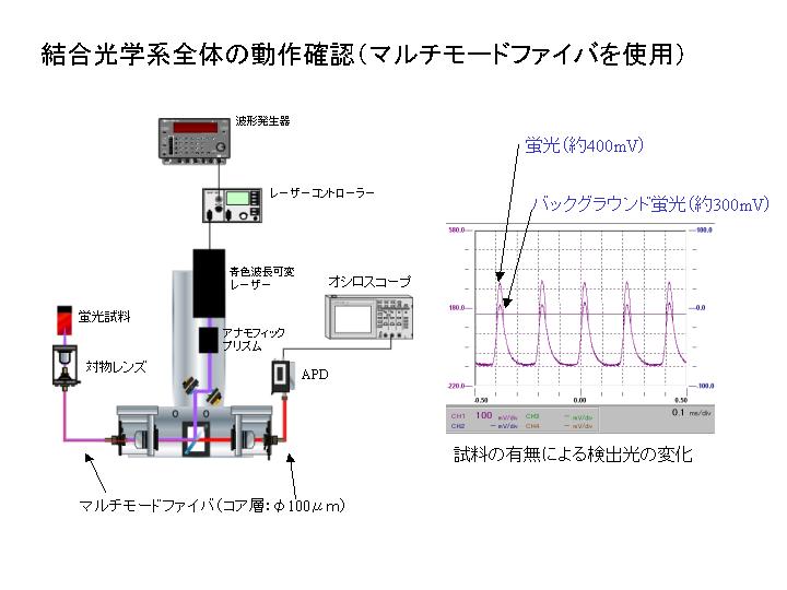 画像をクリックすると、拡大画像が新しいウインドウに表示されます。