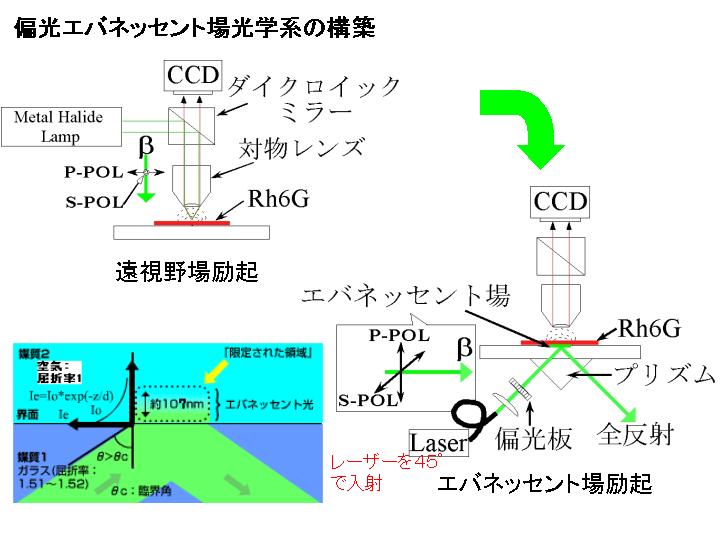 画像をクリックすると、拡大画像が新しいウインドウに表示されます。