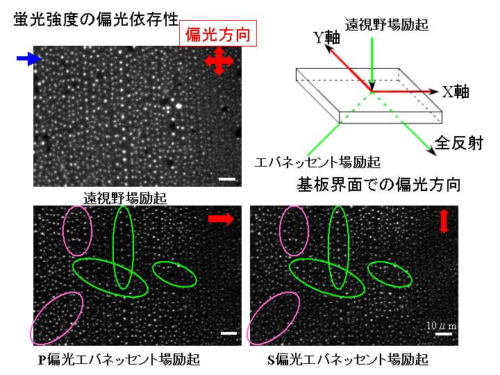 画像をクリックすると、拡大画像が新しいウインドウに表示されます。