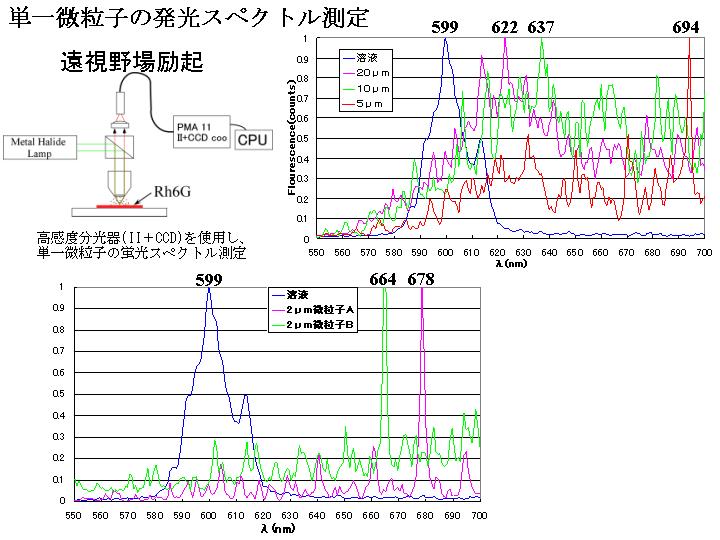 画像をクリックすると、拡大画像が新しいウインドウに表示されます。