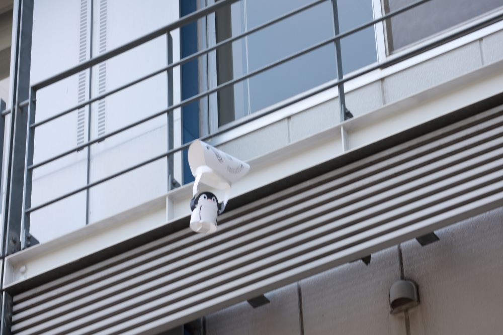 卵を守る装置を作れ！基礎理工学科が卵落としコンテストを開催します