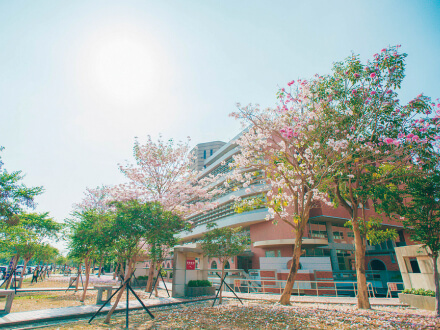 韓国（慶熙大学校）