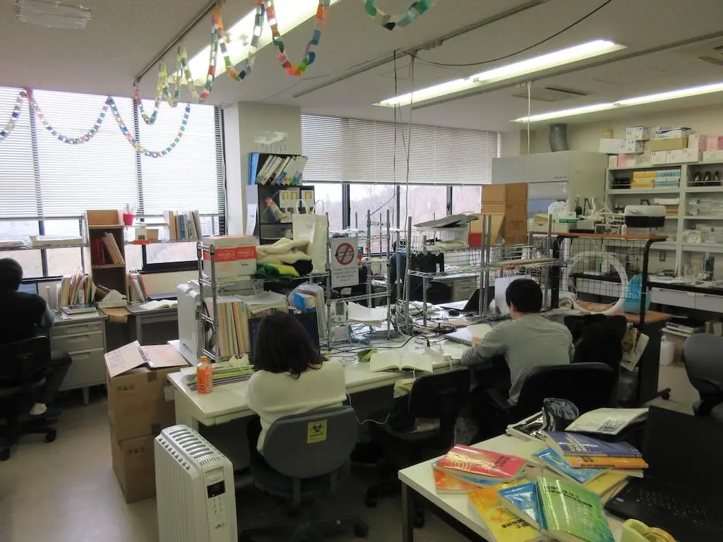 医療福祉工学科 2月の風景