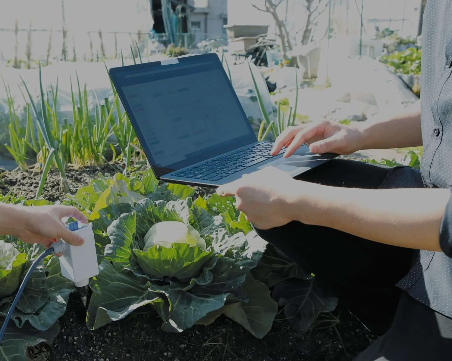 OECUの特色2のイメージ