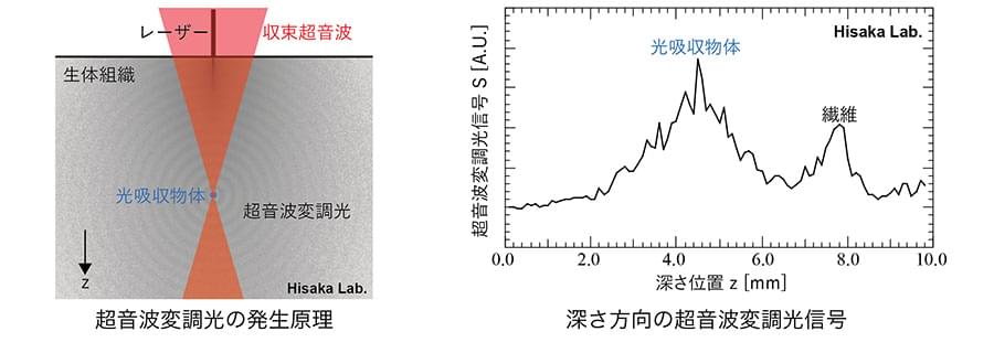 超音波変調光の発生原理と深さ方向の超音波変調光信号の図