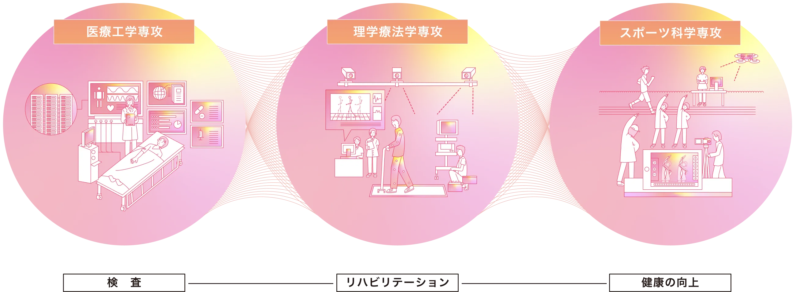 医療工学専攻 検査 理学療法学専攻 リハビリテーション スポーツ科学専攻 健康の向上
