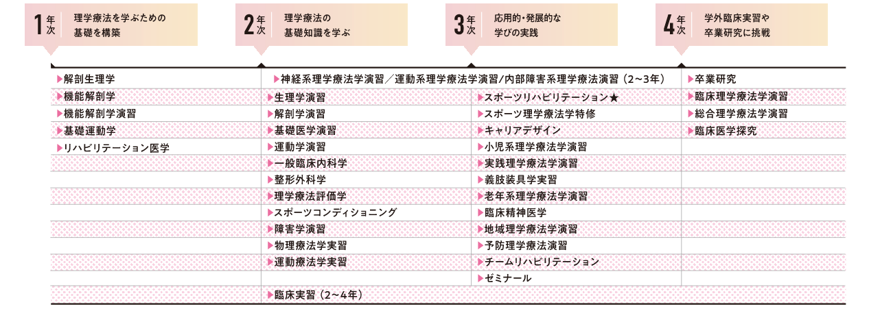 1年次 理学療法を学ぶための基礎を構築 2年次 理学療法の基礎知識を学ぶ 3年次 応用的・発展的な学びの実践 4年次 学外臨床実習や卒業研究に挑戦